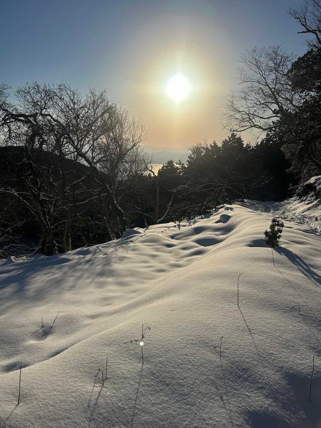 霊仙山権現山登山口-権現山 往復コースの写真