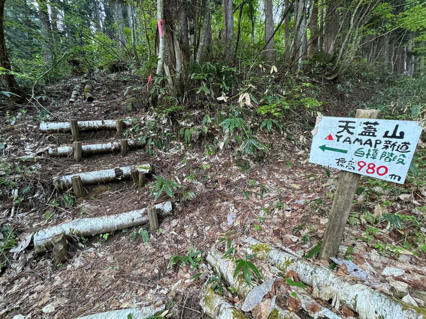 ヤマップ平・天蓋山 周回コースの写真