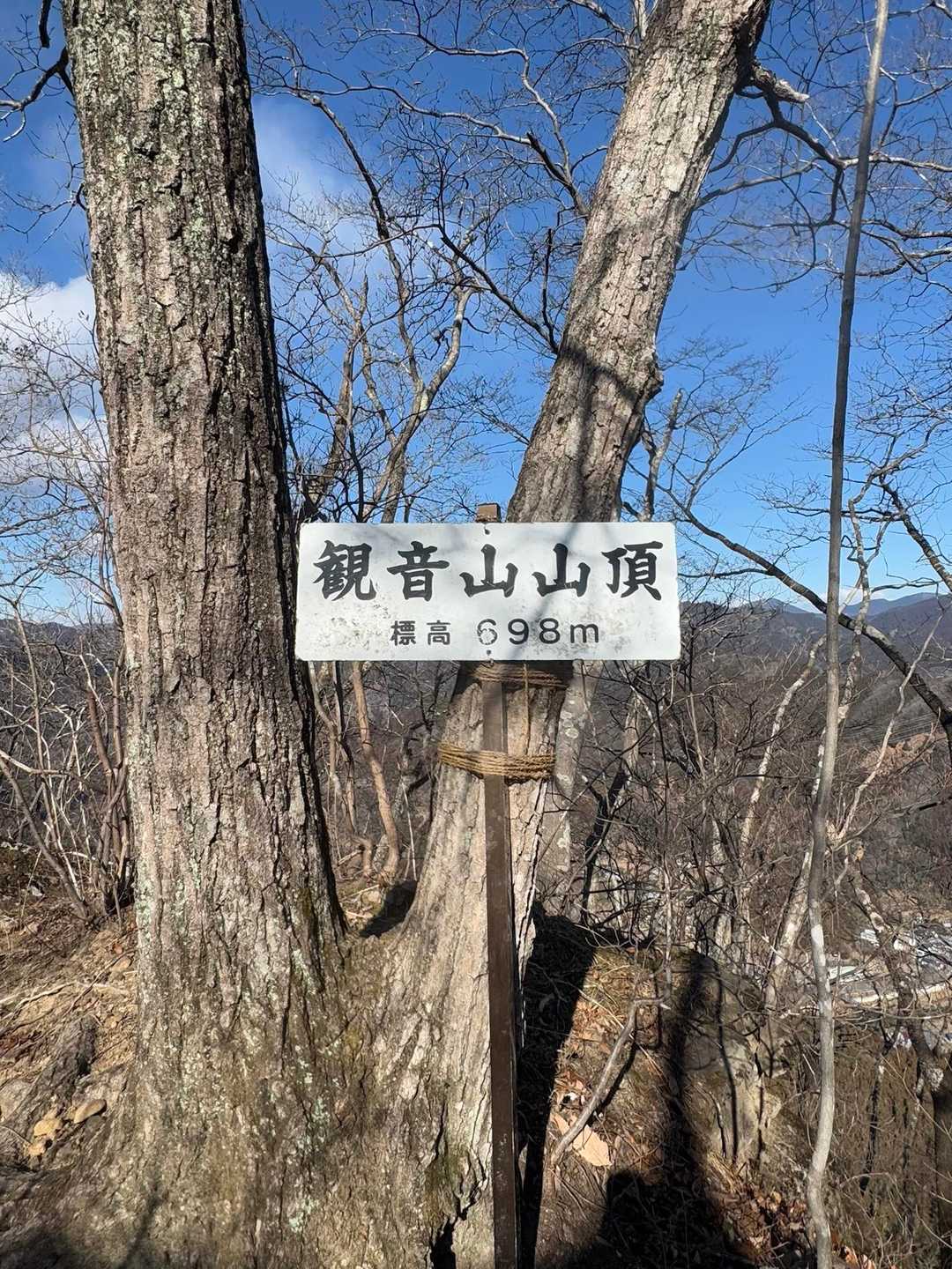観音山山頂