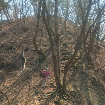 基本下り基調ですご、ちょっとだけ登ります。疲れた足には効きます（笑）
でも下るより断然気は楽。