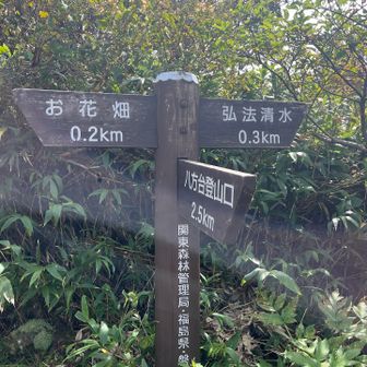お花畑は帰りに廻ります。