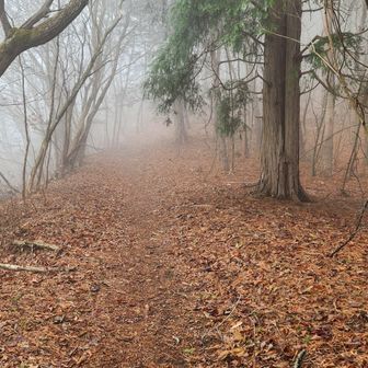 私のこれからの人生のように、今日は霧がかかっていました。