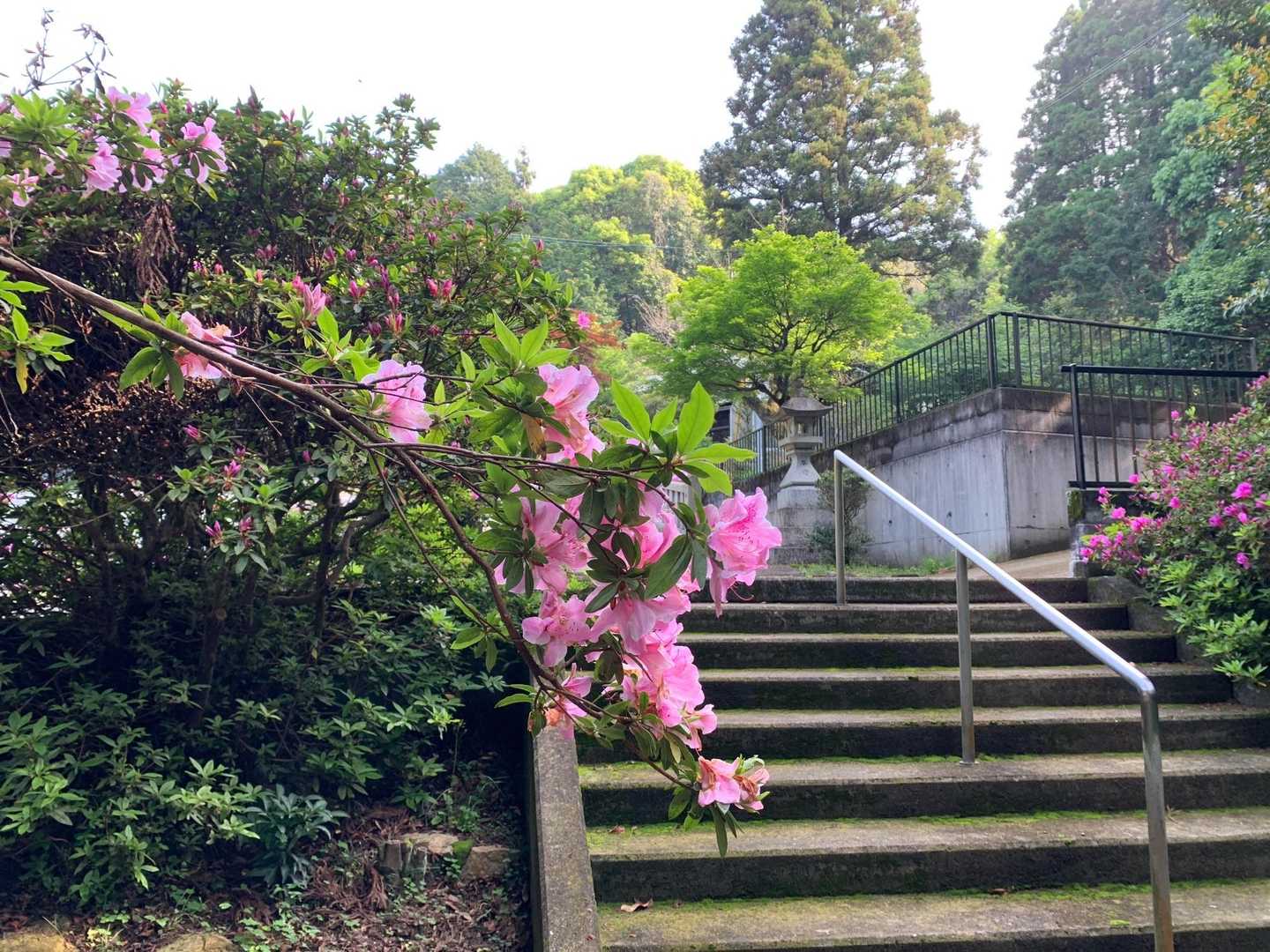 清掃登山9時からなので石鎚神社散歩