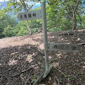 ノーメダワ到着。ここのベンチでおにぎり休憩。