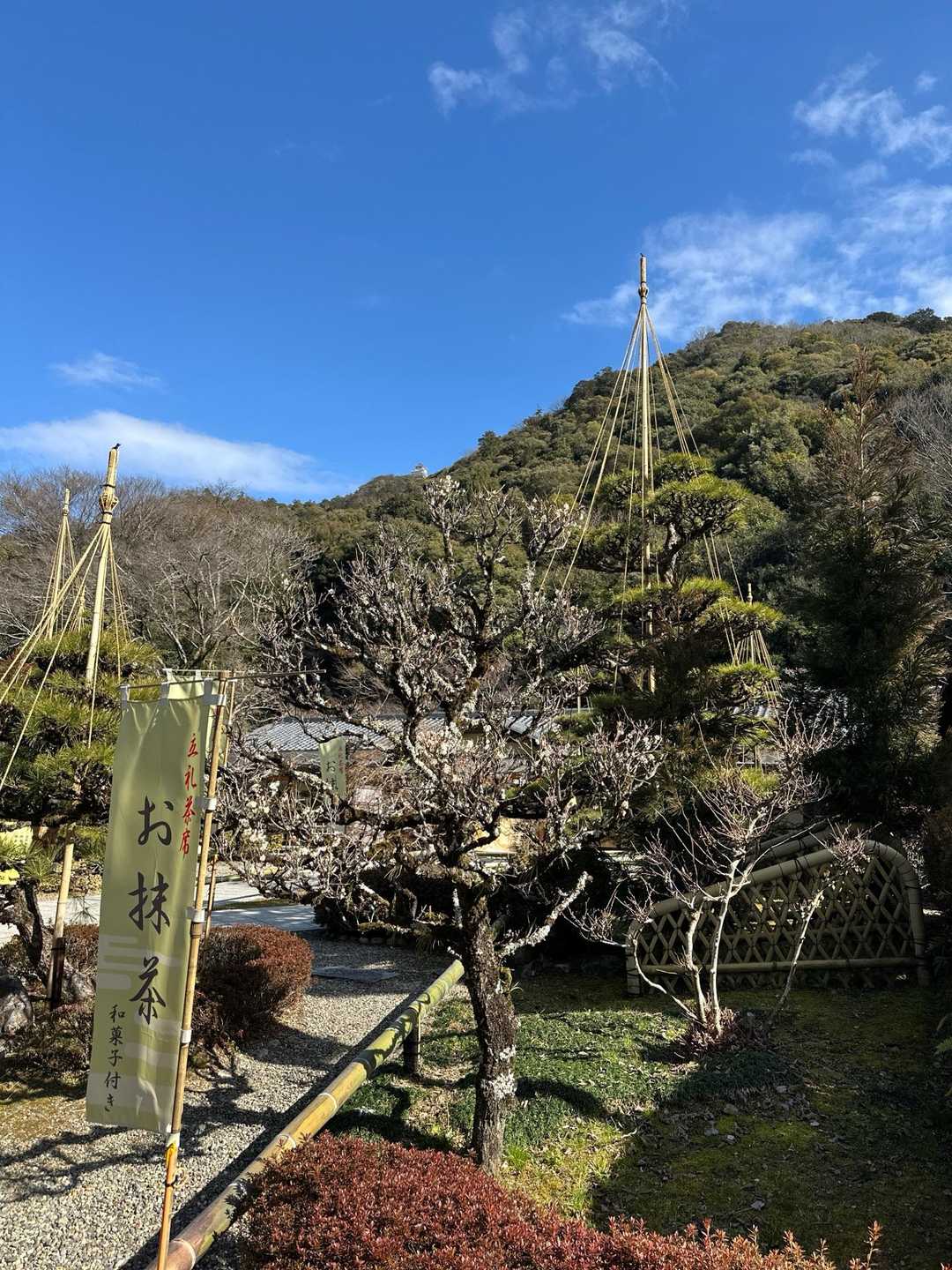 金華山 / SOPHIAさんの金華山・洞山・舟伏山の活動データ | YAMAP