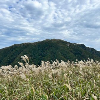 男三瓶山とすすき🌾