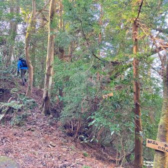 嵩山から和久羅へ⤴︎