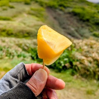 🍍休憩〜ここから国道291号（酷道）にて土合にエスケープ出来ますが…登山道はかなり荒れてます、青空も戻ったのでジャンクションピークへ向う🚶