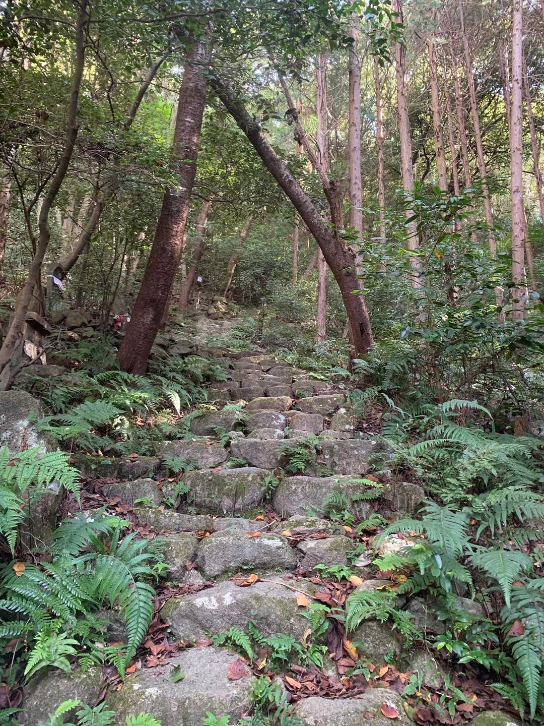 道中は沢山のお地蔵さまが居られます