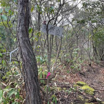 松賀山通過、思ったより雪が無い