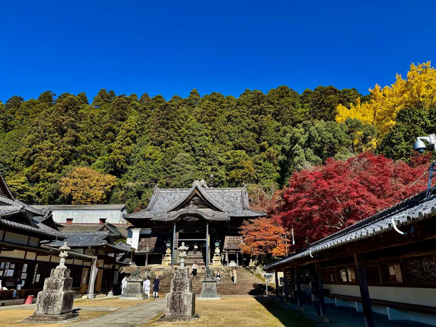 登山口駅-箸蔵寺-箸蔵寺駅 往復コースの写真