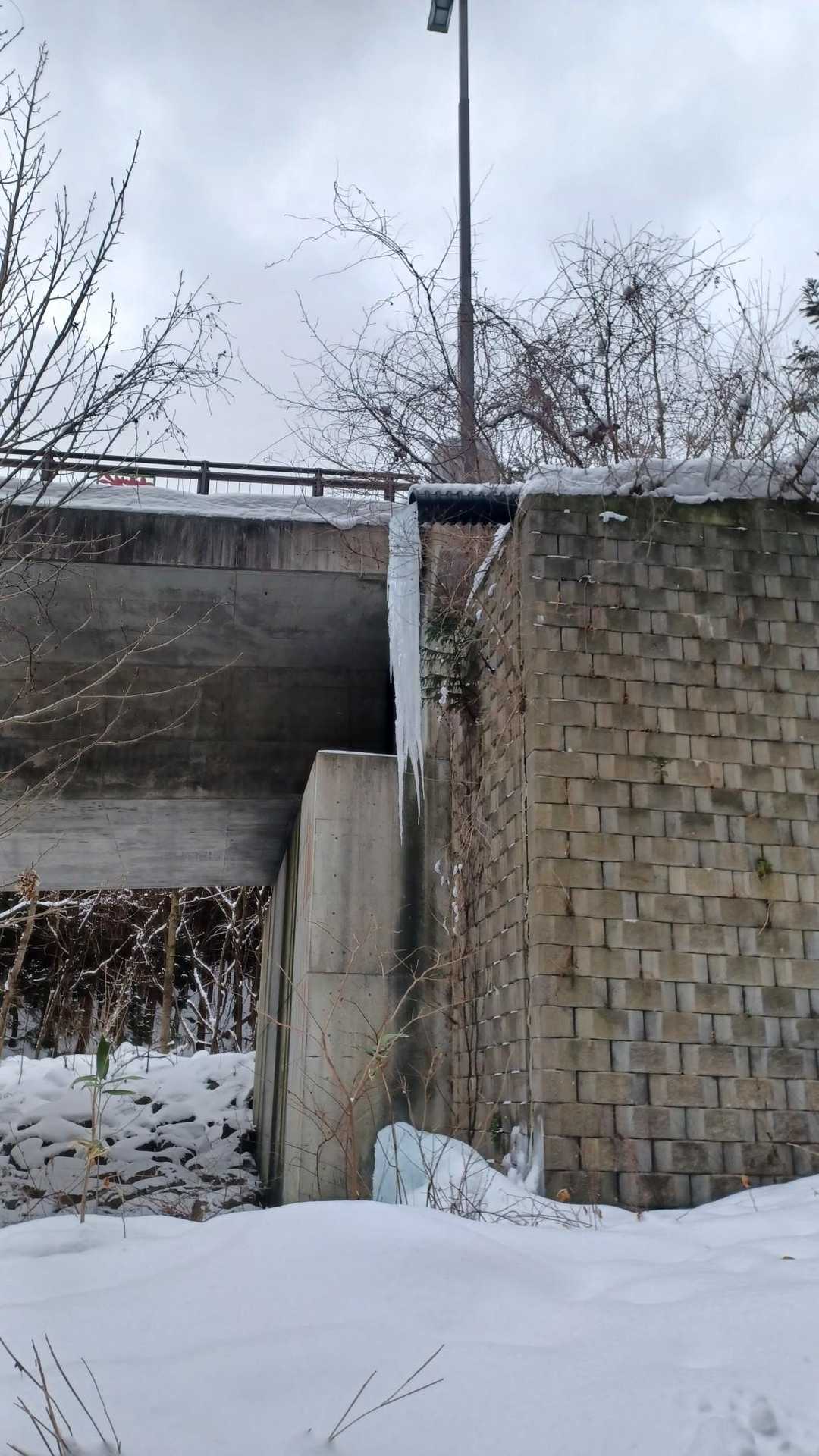 氷柱おがってます❗どこまで伸びるか？雪玉ぶつけて落とさないでね～
