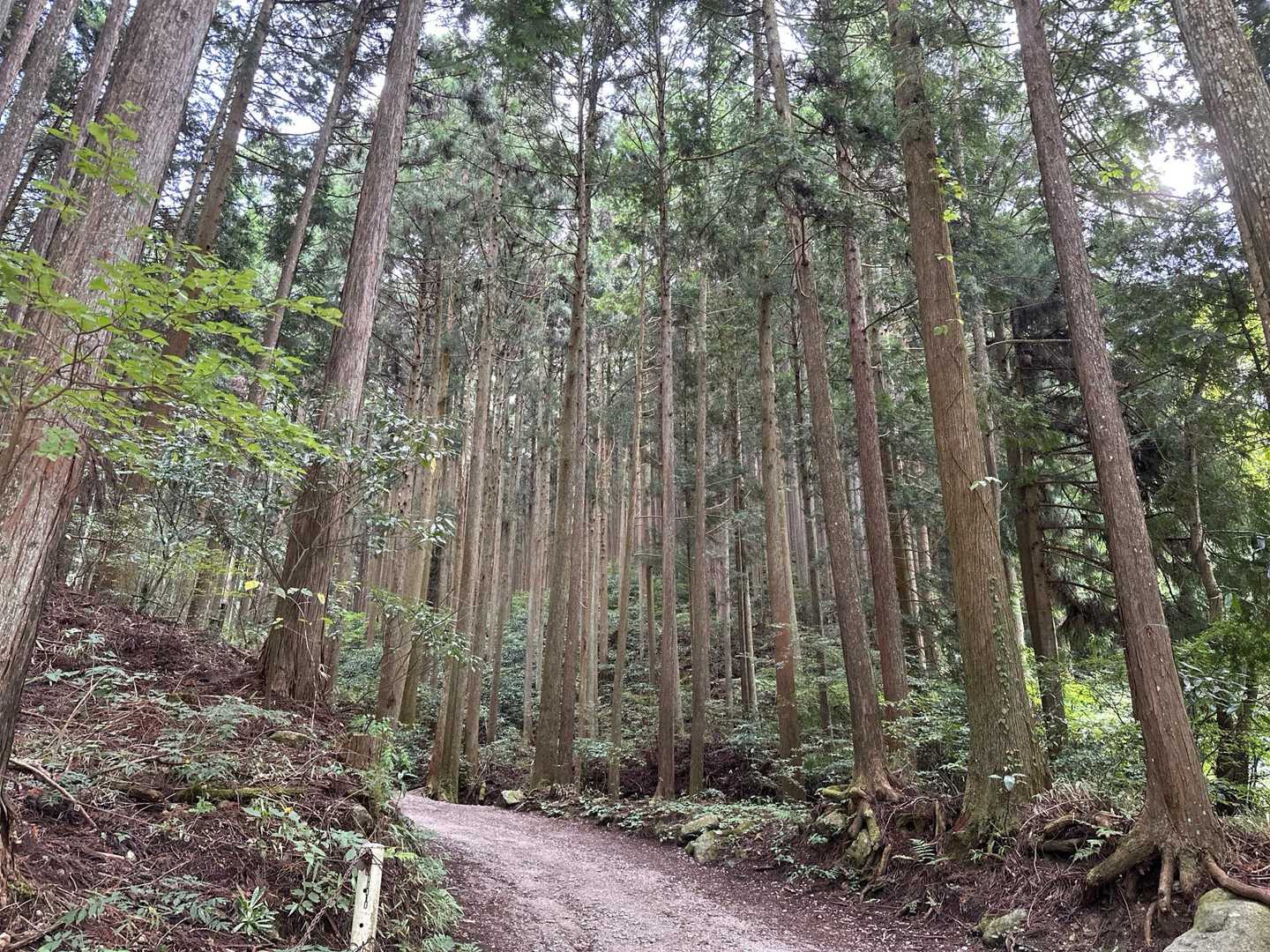 百ヶ辻からのスタートです。