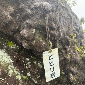 ビビった‼️