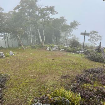 頂上すごく広い
