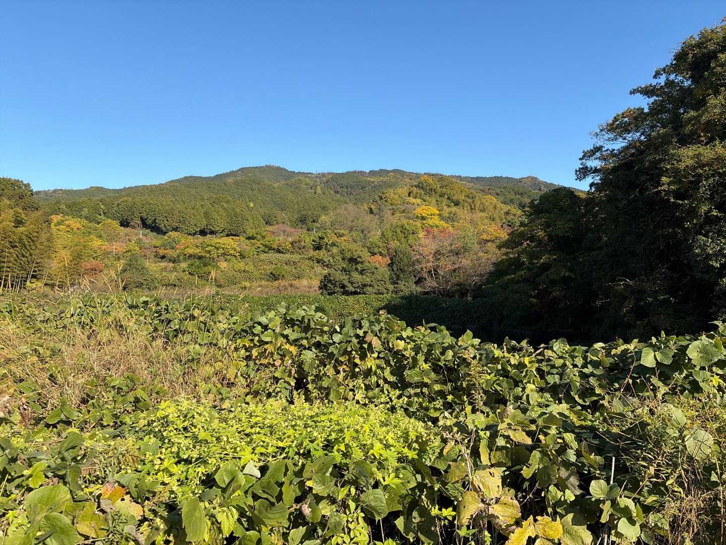 龍王山⛰️