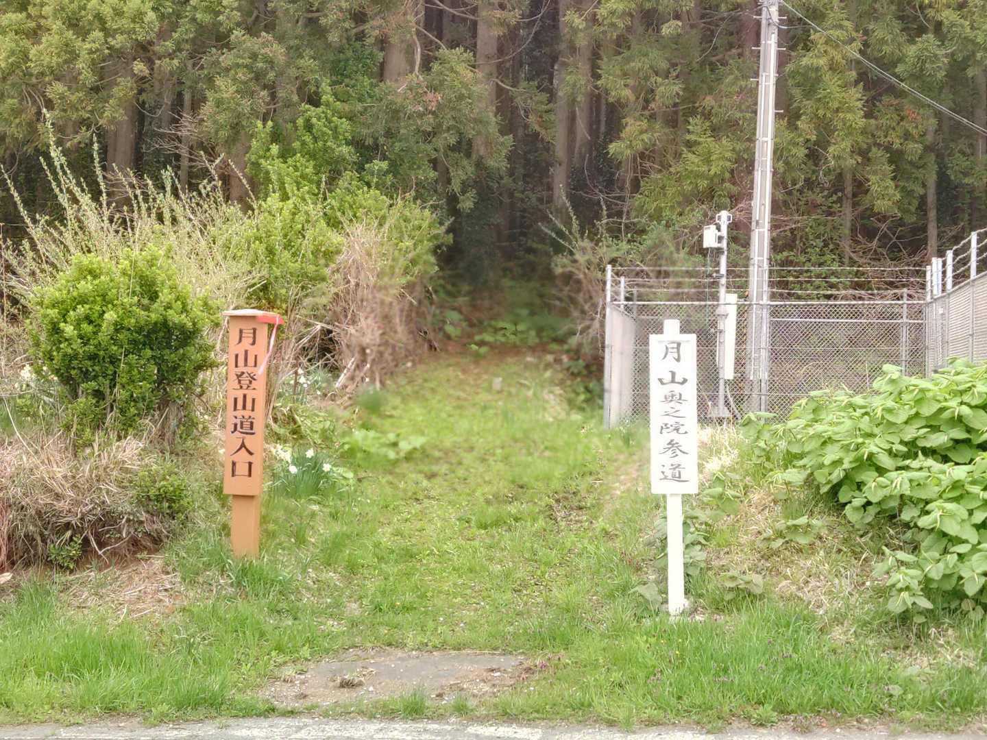 入り口は暗いですが奧はまれに見る整備された登山道になってます