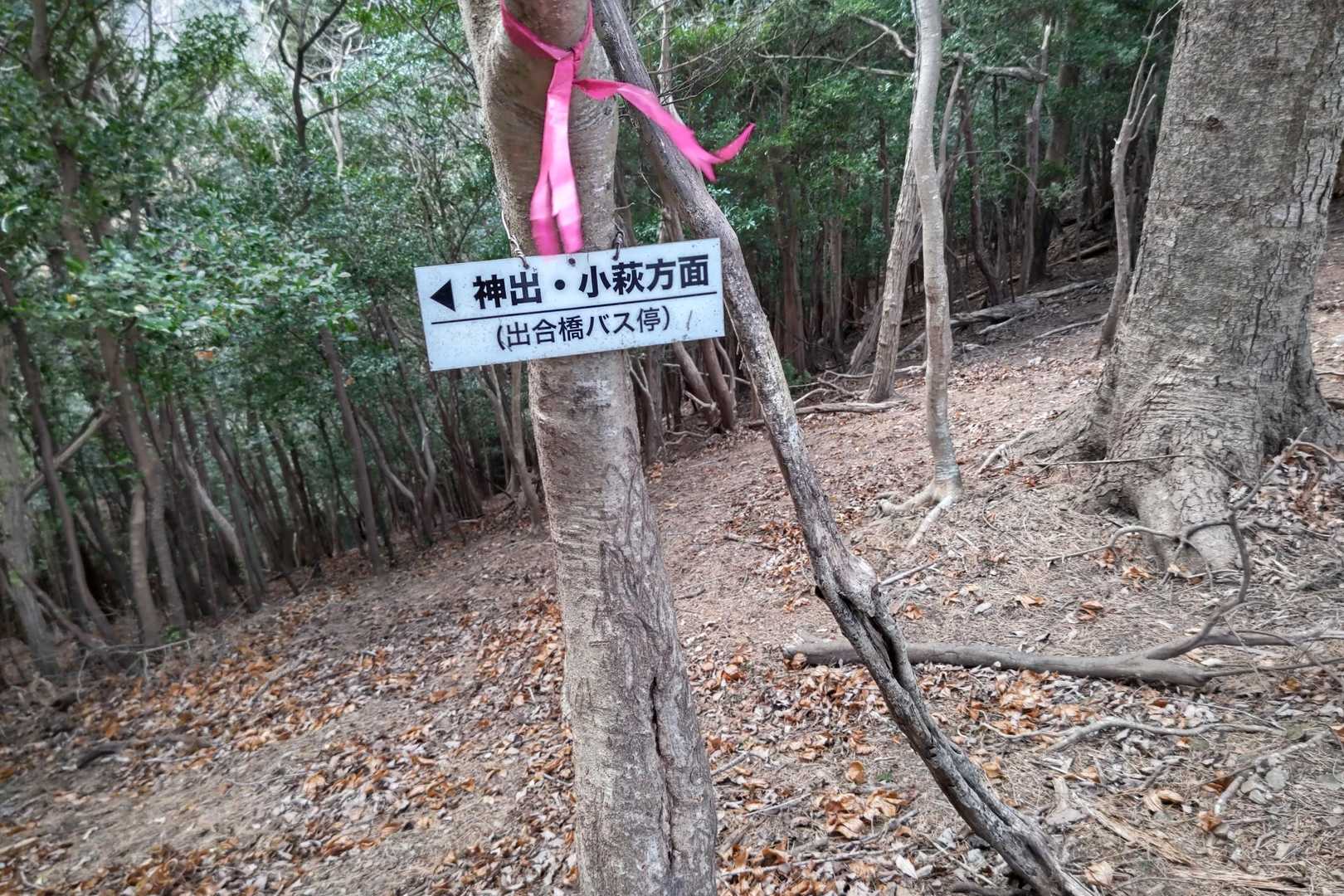ここは真っ直ぐ進んでカゲノ高を目指します💨