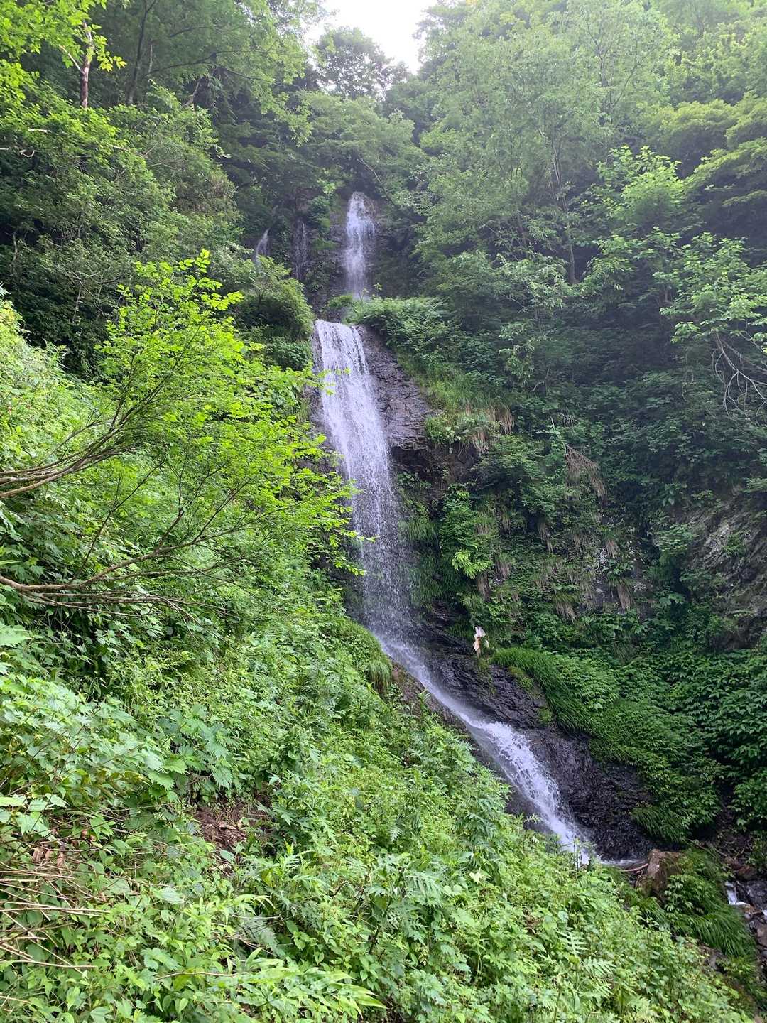 白谷登山口-横山岳-鳥越峠-エコチ谷登山口 周回コースの写真