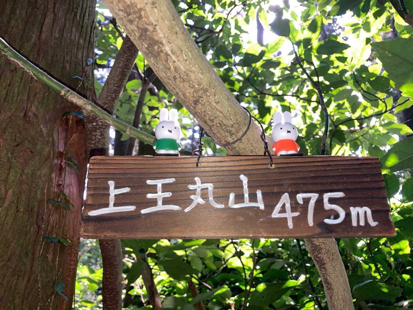 上王丸山山頂