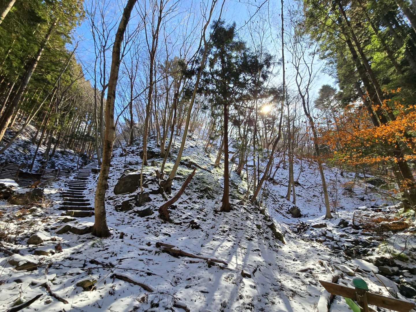 沢コースの分岐。いい感じで積雪あり。とても良き。