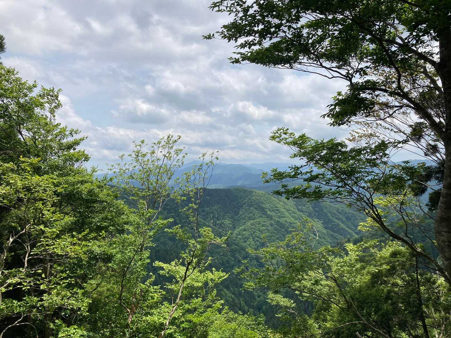 シチグレ峠-百里ヶ岳-根来坂峠 周回コースの写真