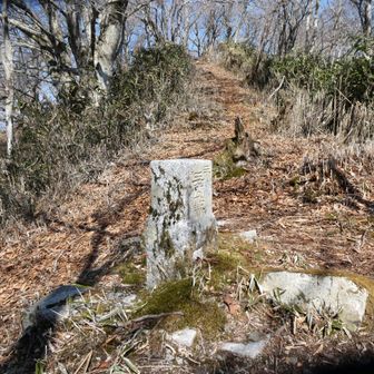 黒岩山の三等三角点 点名麻谷山 1341.6m