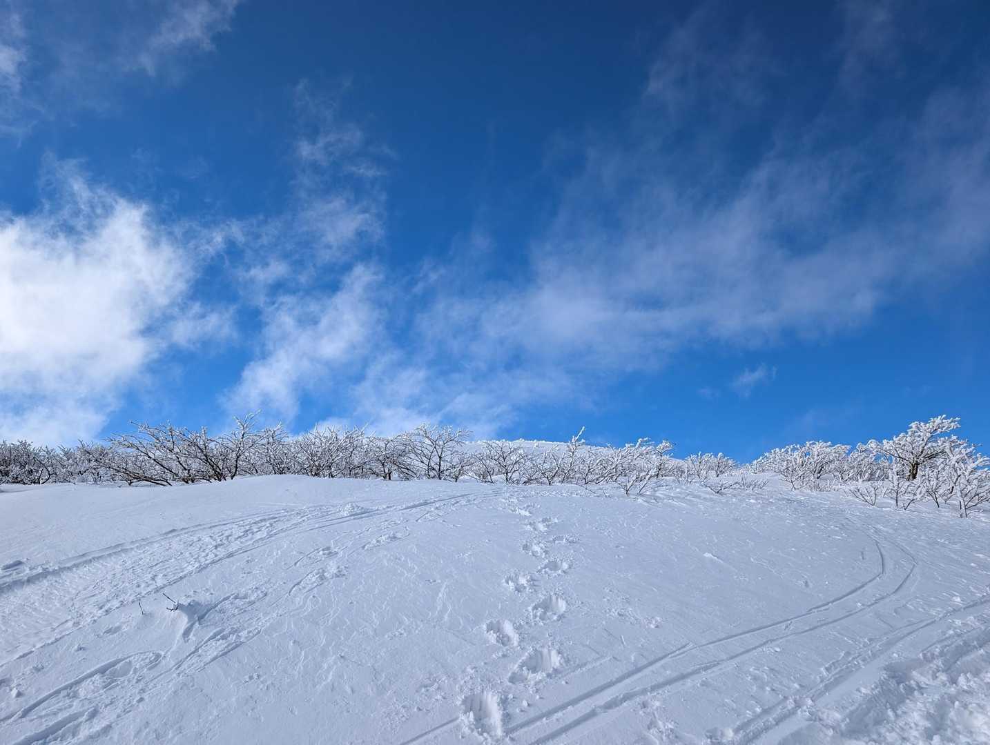 青い空が雪原に映えて素敵です