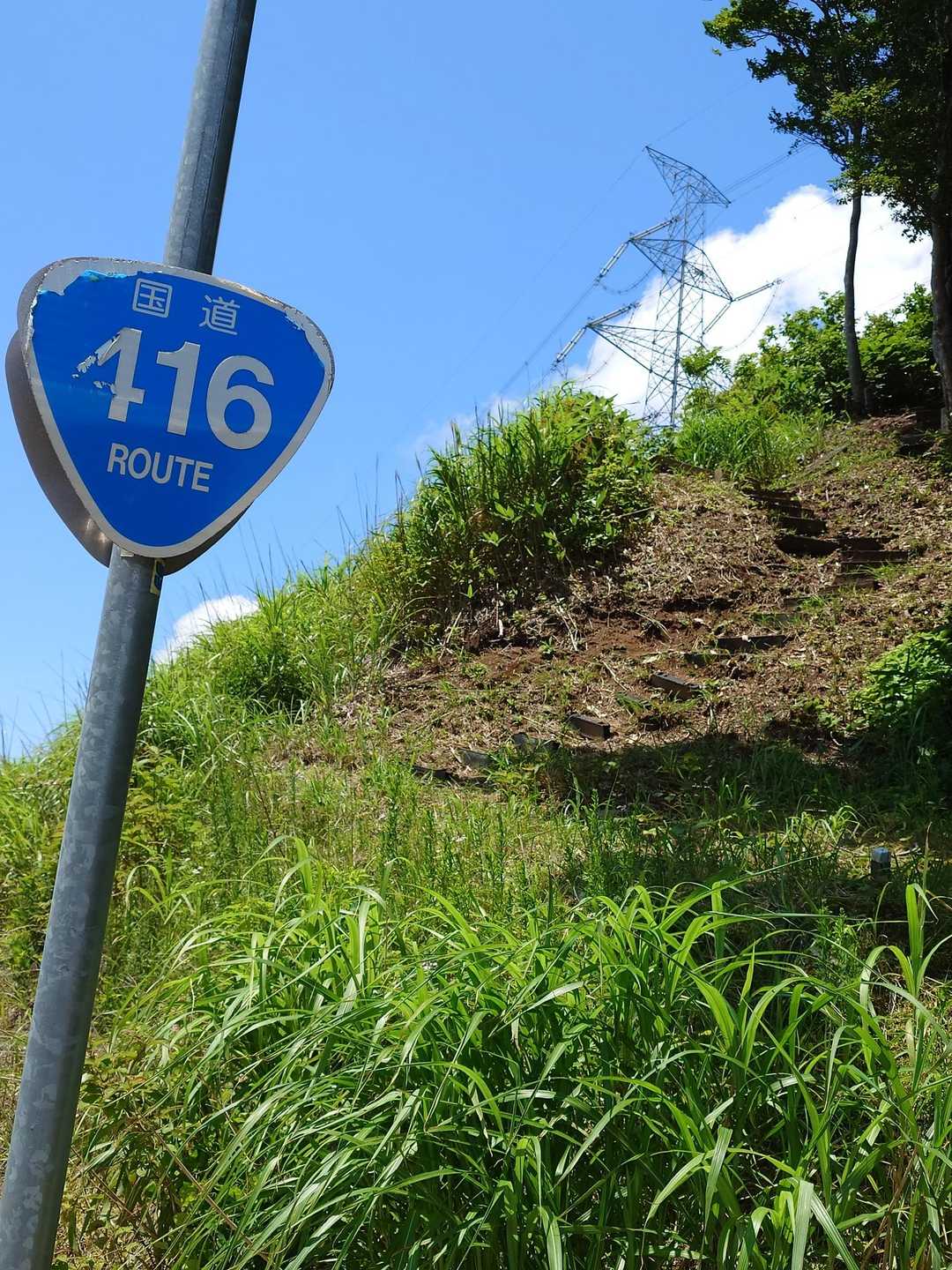 下山してきましたぁ～
久しぶりの急登で明日は筋肉痛決まりですね😩