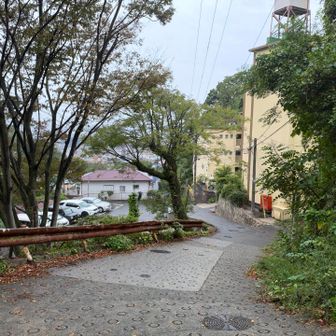舗装路に出ました😊駐車場🅿️へ向かいます👍
良い感じの山行となりました⤴️
山に自然に感謝です🙏✨ありがとうございました！

車に乗って上六のシェラトン都ホテル大阪で開催されている逸品会へ🎵向かいます！