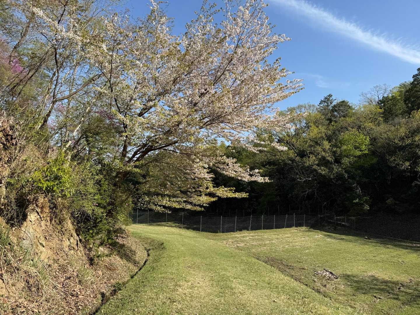 あーきれいだな