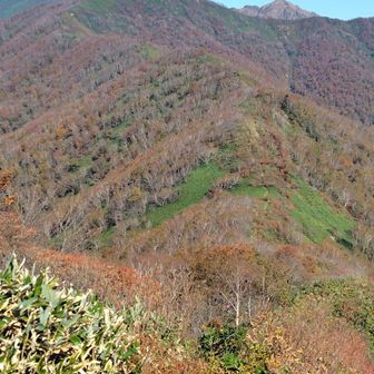 大源太山の向こうに仙ノ倉山