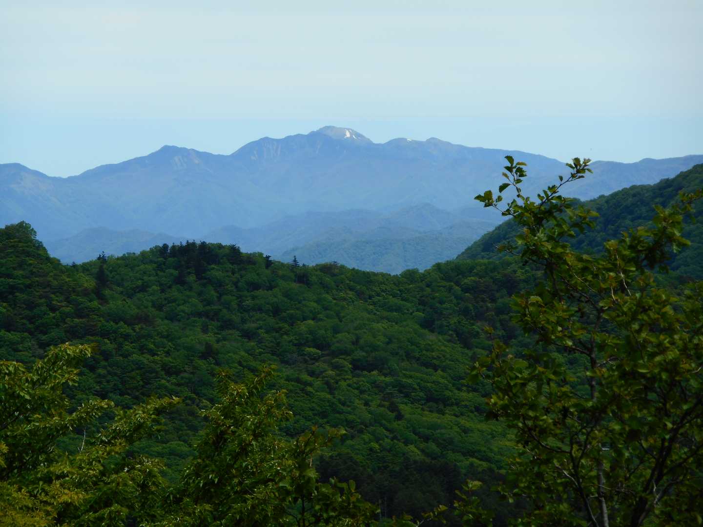 姥子山-鍬柄山-鈴ヶ岳 往復コースの写真
