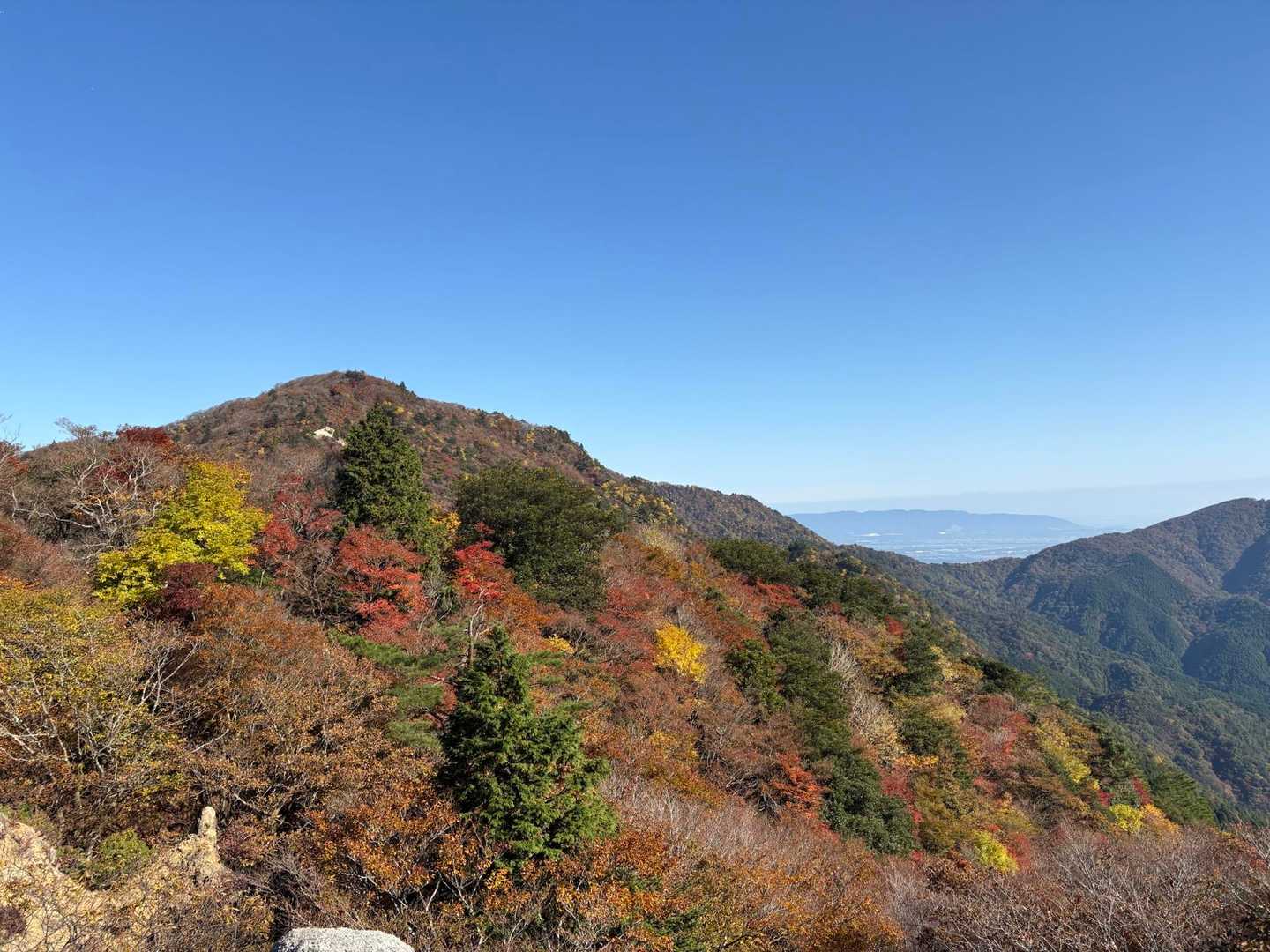 美しい紅葉です