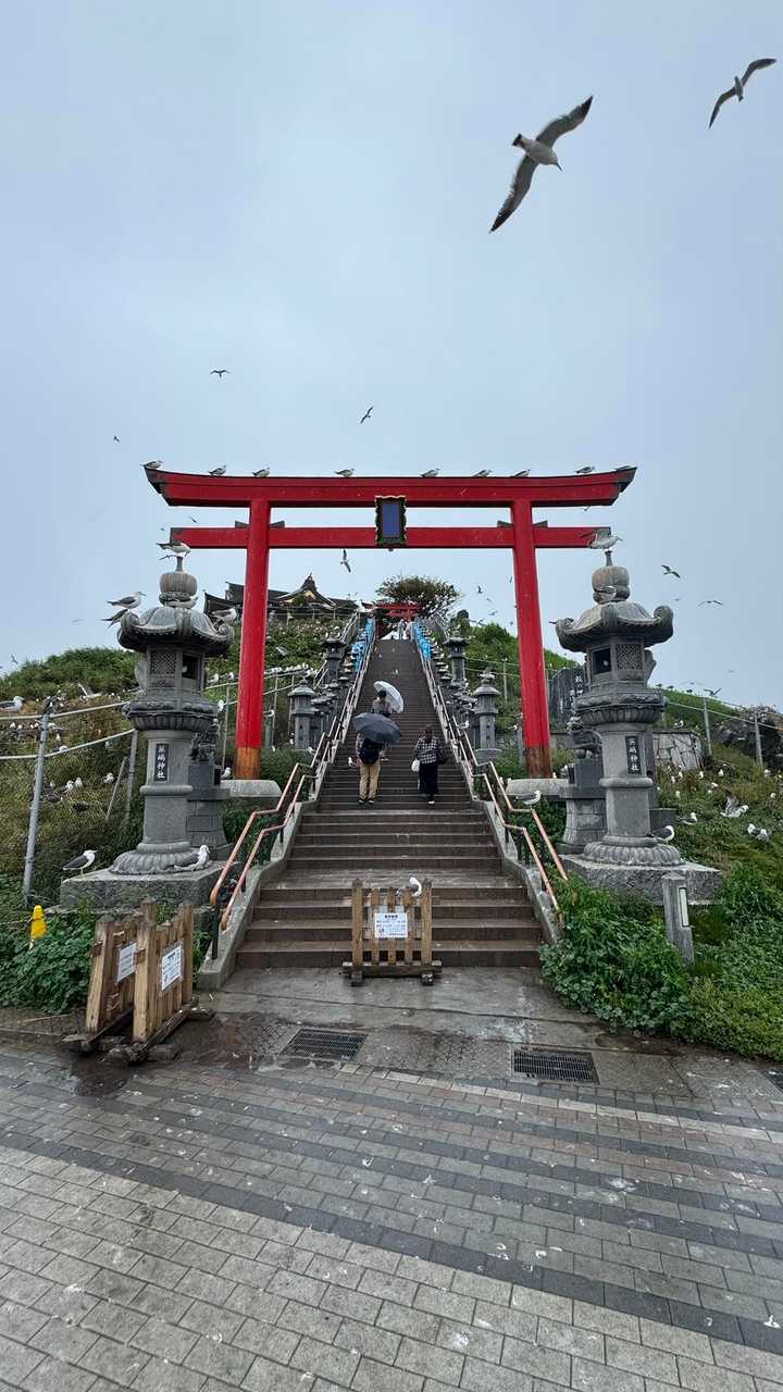 みちのく潮風トレイル（蕪島〜種差海岸）／青森遠征Day2 の写真 5