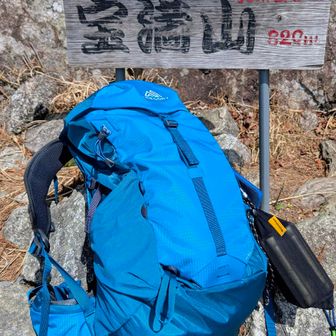 An old biker with eight cats