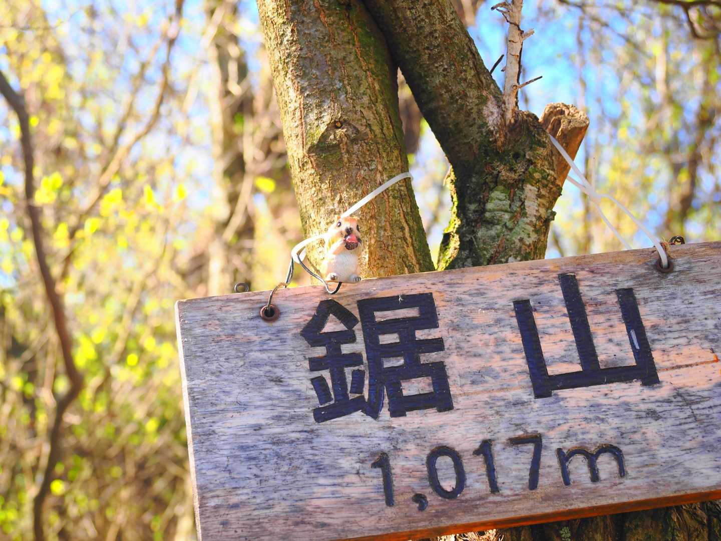 ノコギリヤマの看板にリスが