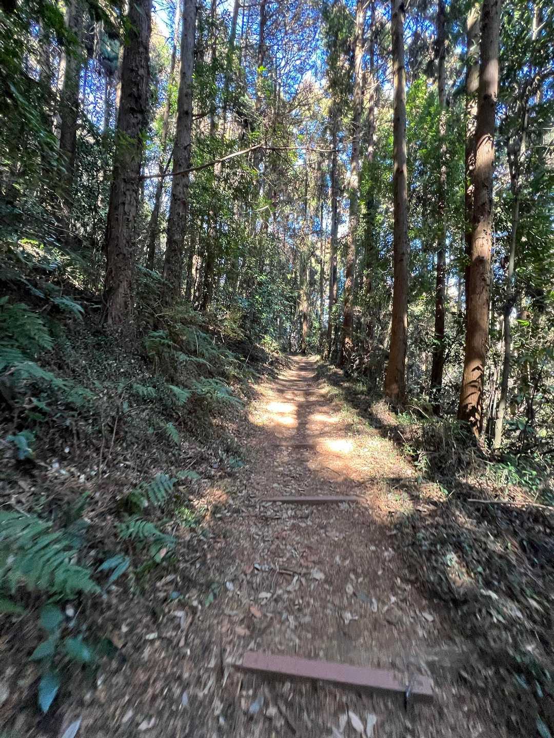 久しぶりの多気山😊ウキウキしちゃう❣️