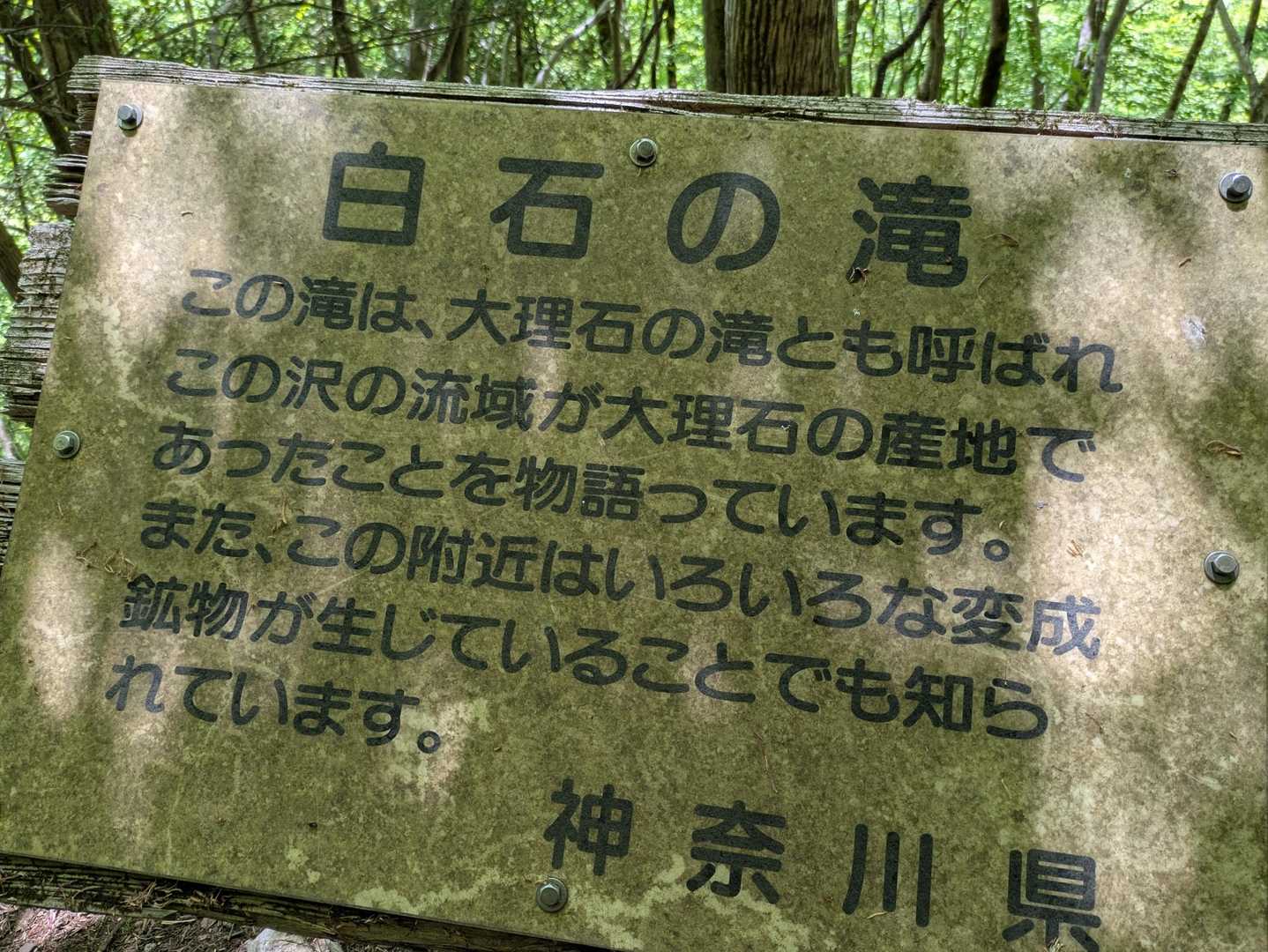 西丹沢ビジターセンターバス停-畦ヶ丸山-モロクボ沢ノ頭-シ 周回コースの写真