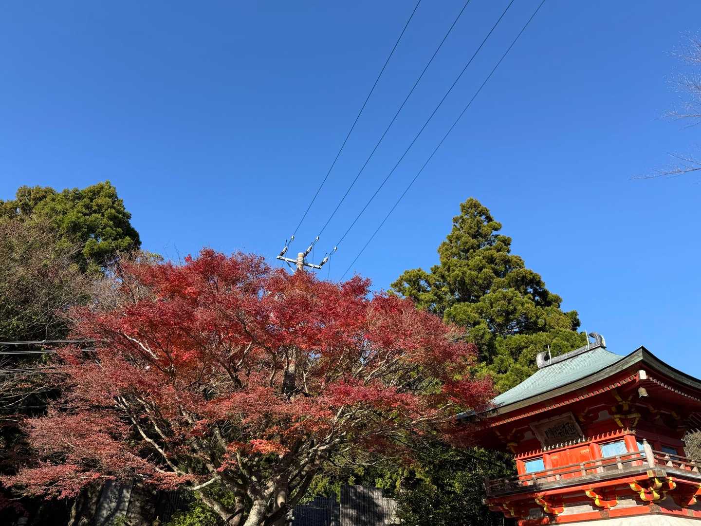 朝熊駅-朝熊峠-朝熊ヶ岳-山頂広場-金剛證寺-朝熊山 縦走コースの写真