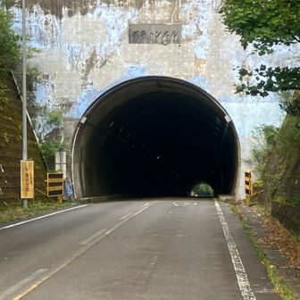 トンネル脇から入ります