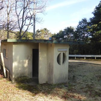 トイレは一応使えるようだ