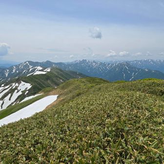 ここから巻機山まで続く稜線。
丹後山からは登山道がない。