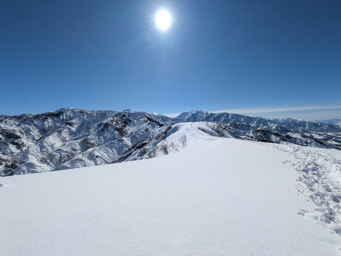 ク〜毎年の事だがたまらん光景