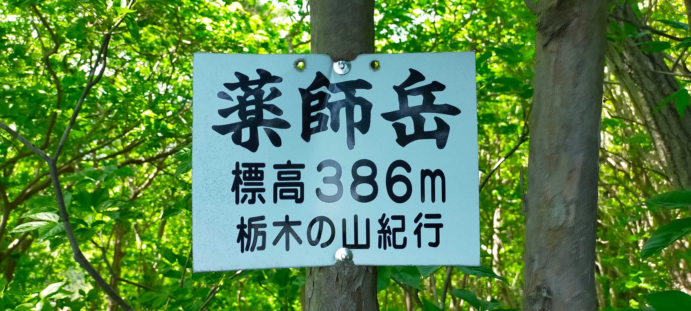 薬師岳 山頂♪
林道からここまでがまぁまぁ大変(^_^;)