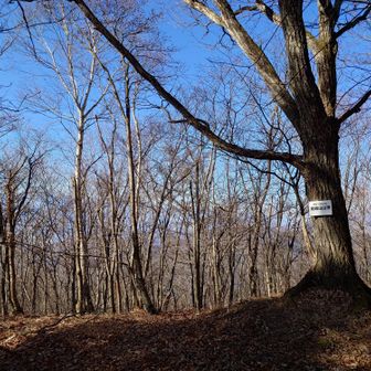 林道から少し入ったところにある見越山