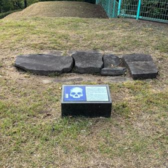 ひょえー😱