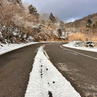 えぇぇ？？？😵😵😵
道路歩いてたら轢かれそう😇
戻って車で移動する事に🙌