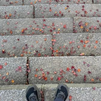 今日の安全登山のお礼参りして、帰路へ