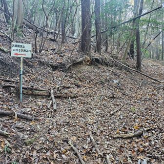 本物の大のぞき岩への分岐点です。